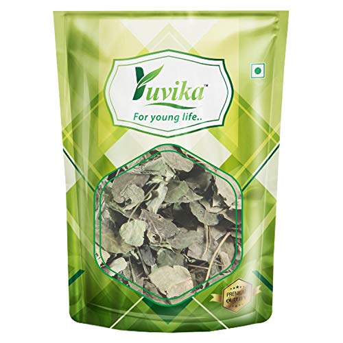 YUVIKA Moringa Leaves - Moringa oleifera - Sohjana Patti (200 Grams)