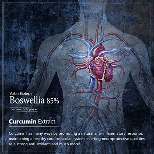 Vokin Biotech Boswellia Serrata and Curcumin with Bioperine - 90 Capsules (Pack of 1)