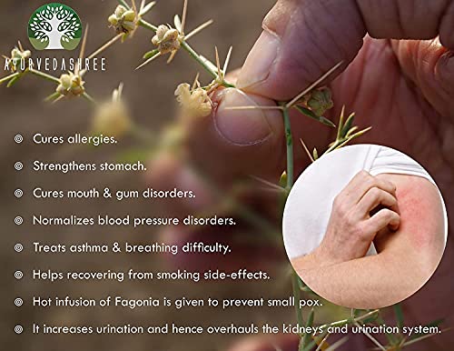 AYURVEDASHREE Fagonia cretica Powder 100 Gm | Dhamasa | Gluten Free | Non GMO | Vegan