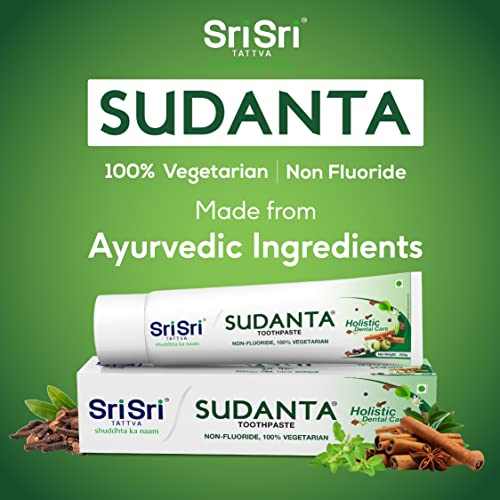 Sri Sri Tattva Sudanta Herbal Toothpaste for Kids & Adults, 200g x2