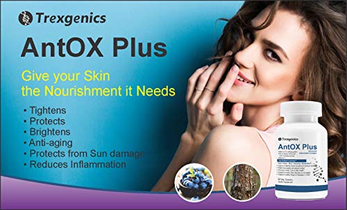 Trexgenics ANTOX PLUS Bilberry 25% 200 mg, Pine bark 90% 200 mg & Vitamin C Advanced Antioxidant cot, Eyes, Skin, Immunity, Metabolism (60 Vcaps) (1)