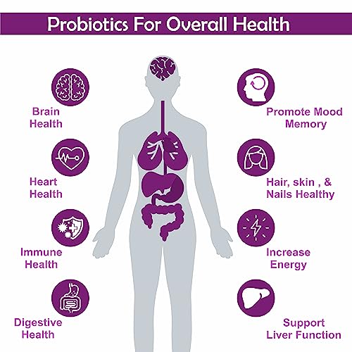 Meibotan No1 Probiotic Supplement Designed by Scientist Probiotics 150 Billion CFU For Men & Women wsystem Digestion Immunity Support- 60 Veg Capsules