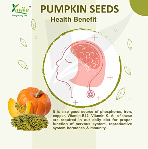 YUVIKA Pumpkin Seeds - Magaz Sitaphal (Imported Seeds) (400 Grams)