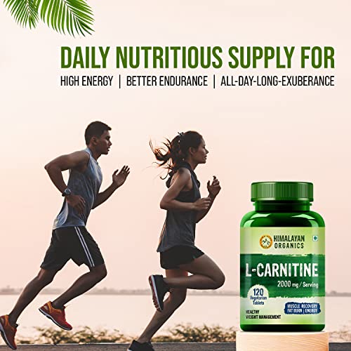 HIMALAYAN ORGANICS L-Carnitine L-Tartrate With Green Tea Extract 2000 Mg | Healthy Weight Managementgy, Endurance And Fat Burn -120 Vegetarian Tablets