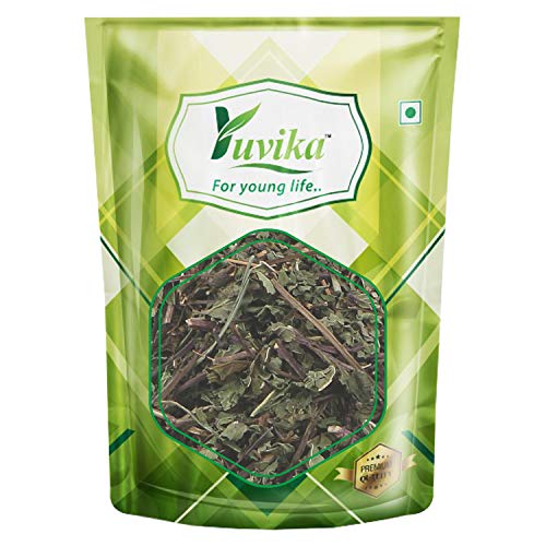YUVIKA Podina Patta - Pudina - Mentha Arvensis Linn - Mint Leaves (400 Grams)