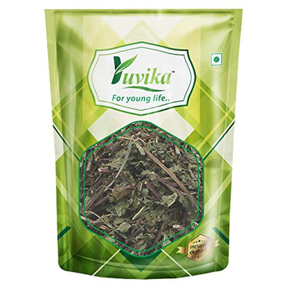 YUVIKA Podina Patta - Pudina - Mentha Arvensis Linn - Mint Leaves (100 Grams)
