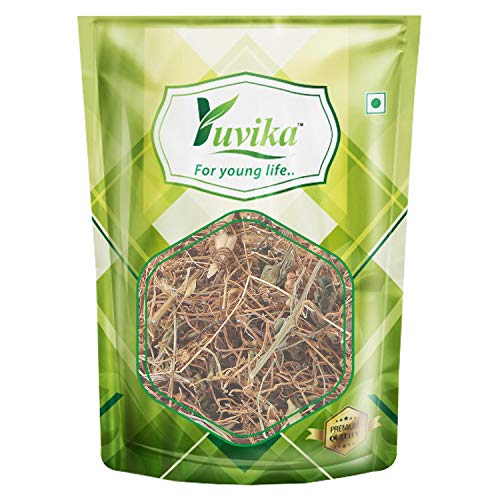 YUVIKA Afteeyun - Aftiun - Afttimoon - Amar Bel - Aakash Bel - Cuscuta Reflexa - Dodder (100 Grams)