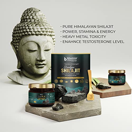 Bhumija Lifescinces Shilajit Resin (Pack of 2)