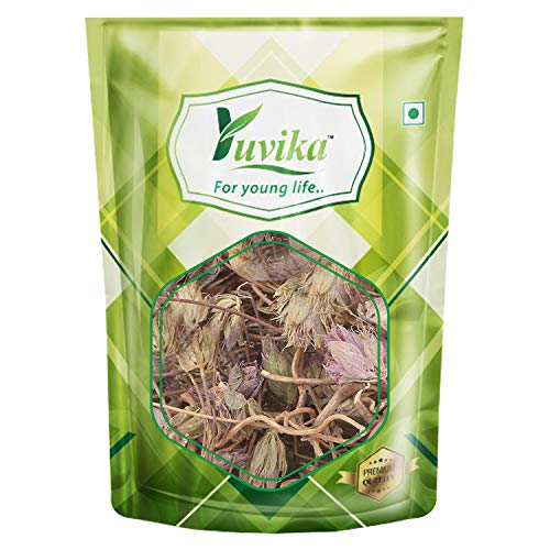 YUVIKA Jufa - Zufa - Hyssopus Officinalis Linn - Hyssop - Issopo - Holy Herb (400 Grams)