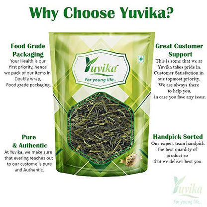 YUVIKA Green Tea Leaves (200 Grams)