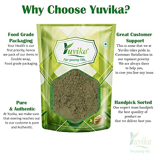 YUVIKA Podina Powder - Pudina - Mentha Arvensis Linn - Mint Leaves (100 Grams)