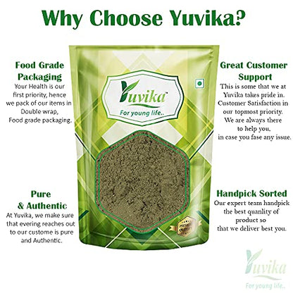 YUVIKA Podina Powder - Pudina - Mentha Arvensis Linn - Mint Leaves (100 Grams)