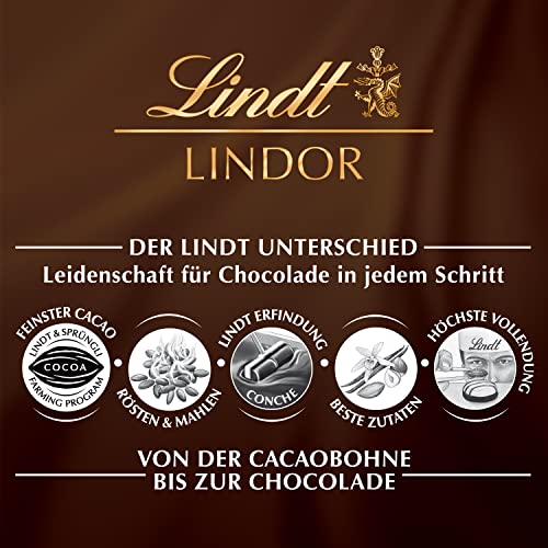 Lindt Lindor Filled Dark Chocolate Bar, 100g