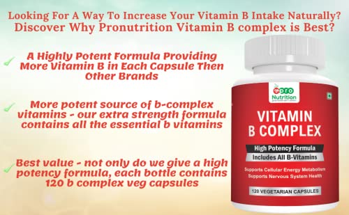 ProNutrition B Complex Vitamins - ALL Including B12, B1, B2, B3, B5, B6, B7, B9, Folic Acid Vitamin une System 120 Veg capsules, 120 Count (Pack of 1)