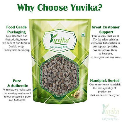 YUVIKA Beej Sambhalu - Nirgundi Seeds - Vitex Negundo - Chaste Seeds (400 Grams)