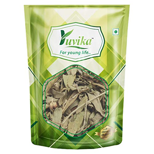 YUVIKA Rasna Leaves - Ray Sanay - Rai Senna - Pluchea lanceolata (100 Grams)