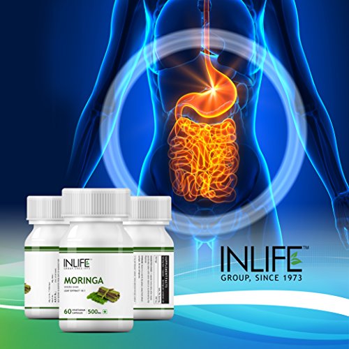 INLIFE Moringa Leaf Extract (10:1) Supplement, Weight Management, Powerful Antioxidant, 500mg - 60 Veg Capsules
