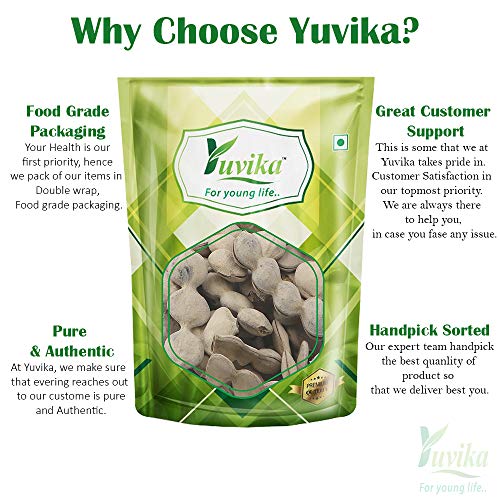 YUVIKA Kikar Phali - Babool Phali - Acacia Nolotica (200 Grams)