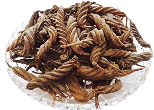 YUVIKA Marod Phali - Marori - Helicteres Isora - Avaitini Screw Beans (200 Grams)