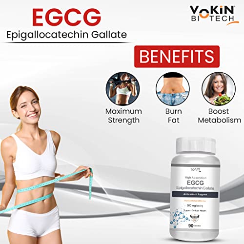 Vokin Biotech EGCG from Green Tea Leaf Extract 500mg EGCG - Antioxidant Support – 90 Capsules