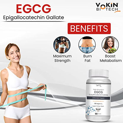 Vokin Biotech EGCG from Green Tea Leaf Extract 500mg EGCG - Antioxidant Support – 90 Capsules