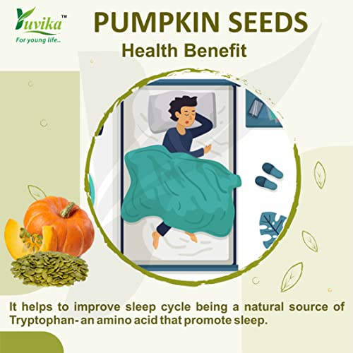 YUVIKA Pumpkin Seeds - Magaz Sitaphal (Imported Seeds) (400 Grams)