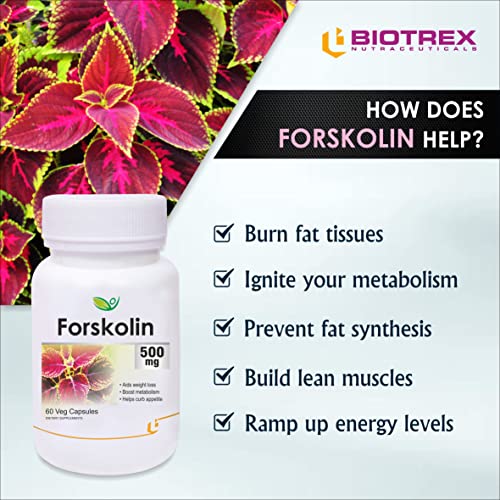 Biotrex Nutraceuticals Forskolin 500Mg - 60 Capsules