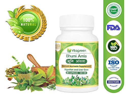 VitaGreen BHUMI AMLA Capsules For Liver Cleanse and Detox, Pure Ayurvedic, Natural, Herbal Supplement, 500 mg , 60 Capsules( Pack of 1 )