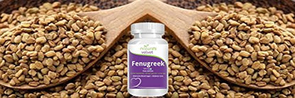 Natures Velvet Lifecare Fenugreek Pure Extract (500 mg), 60 veggie capsules - Pack of 1