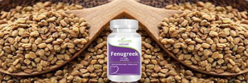 Natures Velvet Lifecare Fenugreek Pure Extract (500 mg), 60 veggie capsules - Pack of 3