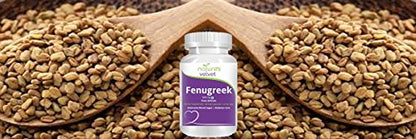 Natures Velvet Lifecare Fenugreek Pure Extract (500 mg), 60 veggie capsules - Pack of 3