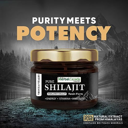 Herbal Canada Pure Himalayan Shilajit/Shilajeet Resin, 20g