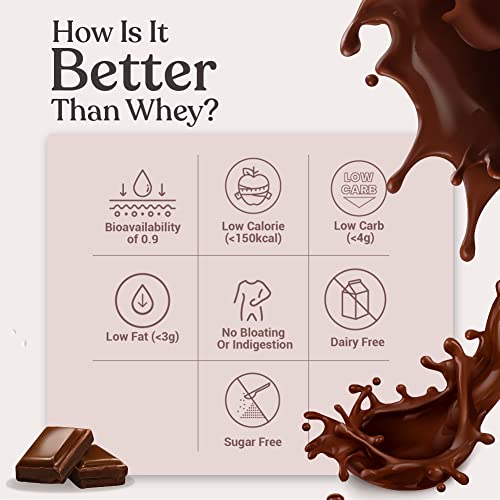 Kapiva Vegan Protein - Chocolate | Post-workout Recovery Protein Shake | 100% Plant Based Protein (1kg)