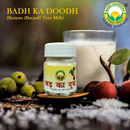 BASIC AYURVEDA Badh Ka Doodh (Dudh) 50 Gram | Banyan (Bargad) Tree Milk