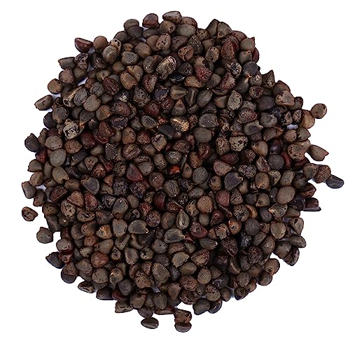 YUVIKA Beej Band Kala - Bala Beej - Sida Cordifolia (200 Grams)