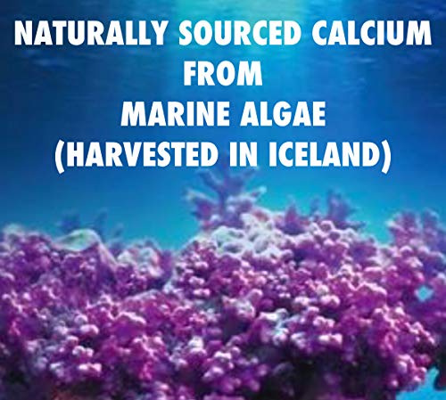 HealthyHey Nutrition 100% Natural Ocean Calcium & Magnesium - 510mg (120 Veg Capsules)