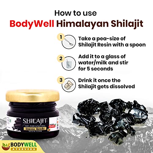 BODYWELL Pure Himalayan Shilajit Resin | Immunity, Strength, Stamina, Energy, Vitality | 20 Grams