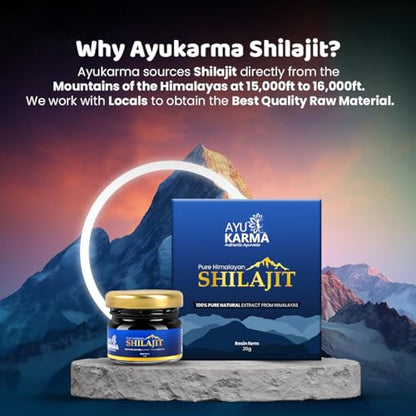 AYUKARMA Ayurveda Pure Himalayan Shilajit/Shilajeet Resin 20g