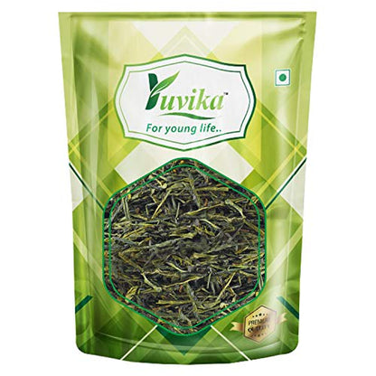 YUVIKA Green Tea Leaves (200 Grams)