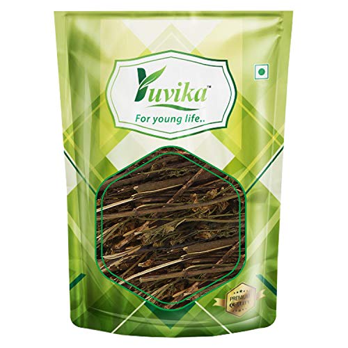 YUVIKA Chiraita Asli - Chiraita Nepali - Enicostemma Littorale - Swertia Chiraita - Bitter Stick - Indian Gentian (100 Grams)