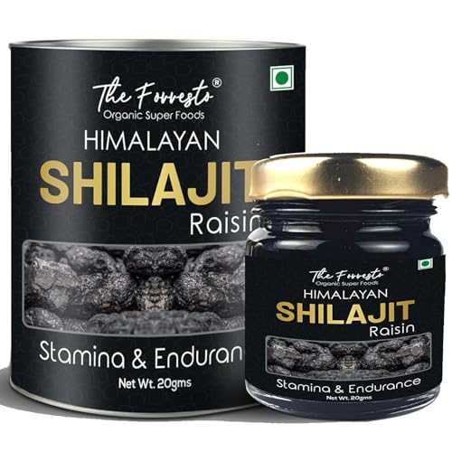 TheForresto Himalayan Shilajit Original/Shilajeet Resin || Endurance | Stamia | Detox | OVERALL WELL BEING 20Gms