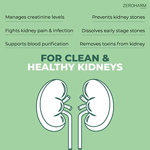 ZEROHARM Holo Kidney Detox tablets - 60 Veg tablets