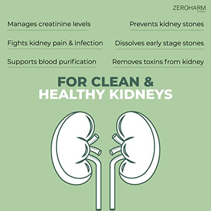 ZEROHARM Holo Kidney Detox tablets - 60 Veg tablets