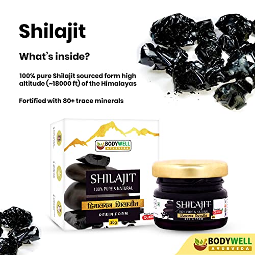 BODYWELL Pure Himalayan Shilajit Resin | Immunity, Strength, Stamina, Energy, Vitality | 20 Grams
