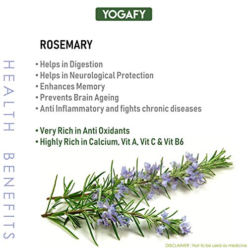 YOGAFY Organic Rosemary Leaves | Herbal Leaves for Improving Memory |100 Gram