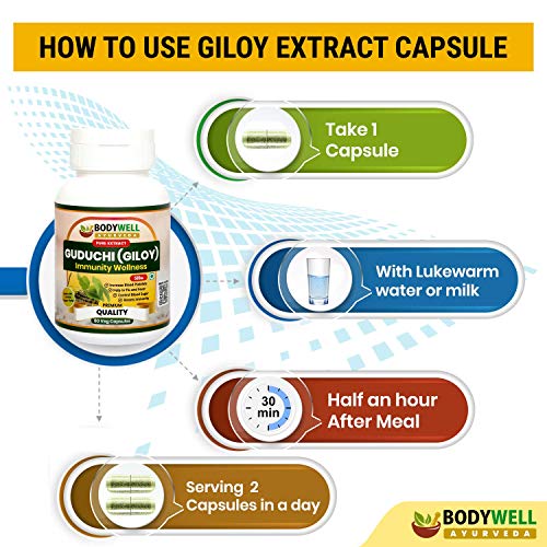 BODYWELL Giloy Pure Extract Capsule | Natural Wellness Product | 500 mg | Pack of 2 | 120 Veg. Capsules