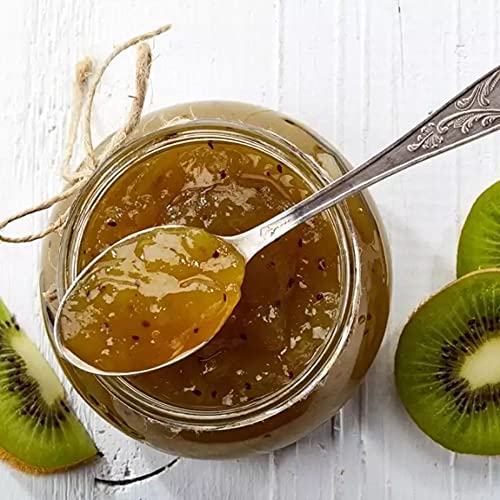 Dhampure Speciality Natural Kiwi Fruit Spread, 300g | Spread from Himalayas, No Added Color, Preservatives, Fresh Fruits of Himalayas