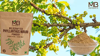 MB Herbals Phyllanthus Niruri Powder 100gram Bhumi Amla Chanca Piedra