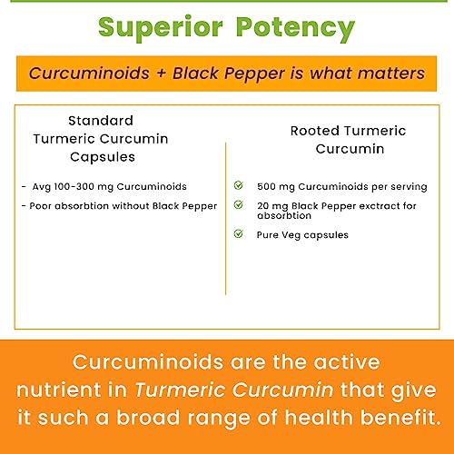 Rooted Curcumin (95%) Reishi & Black pepper Extract (for better absorbtion)1300mg, for Immunity, Joints Cardio Health| 60 VEG Capsules, 650 Mg each