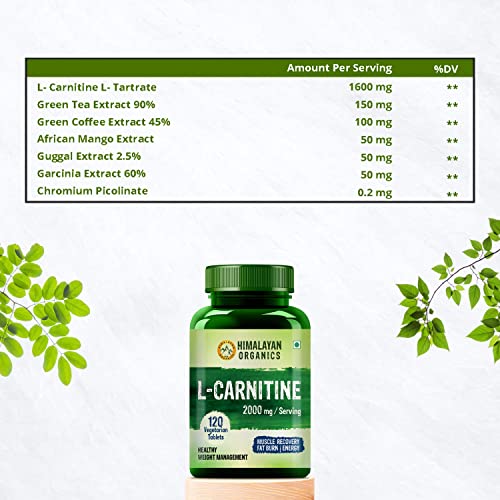 HIMALAYAN ORGANICS L-Carnitine L-Tartrate With Green Tea Extract 2000 Mg | Healthy Weight Managementgy, Endurance And Fat Burn -120 Vegetarian Tablets